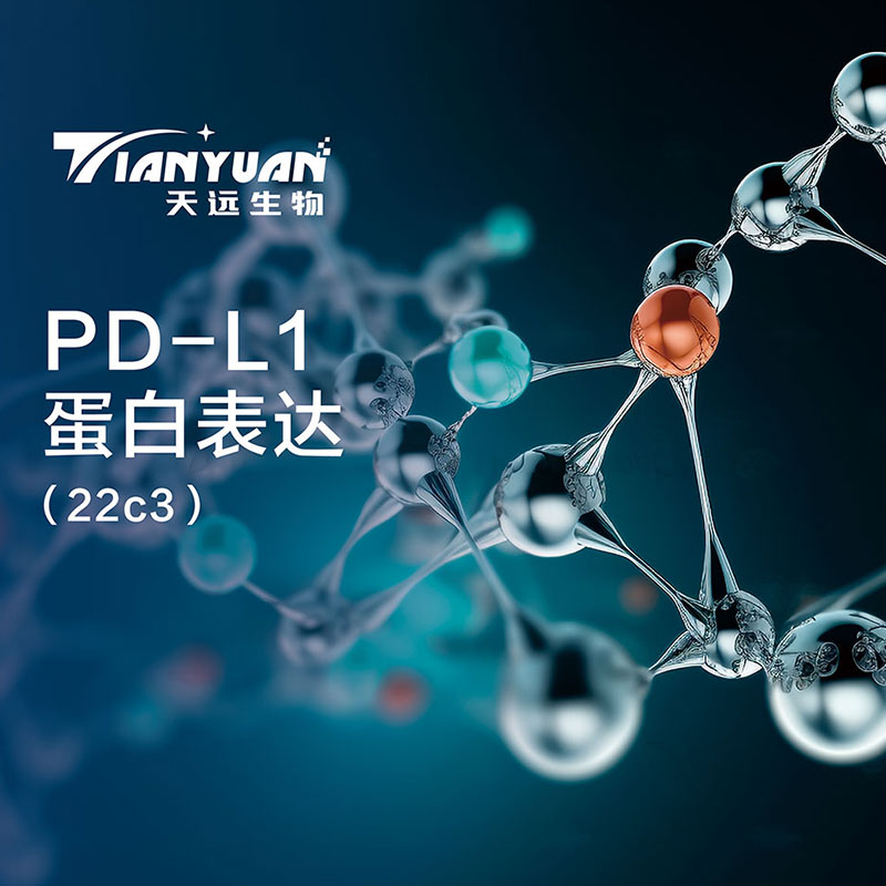 PD-L1蛋白表达（22c3）