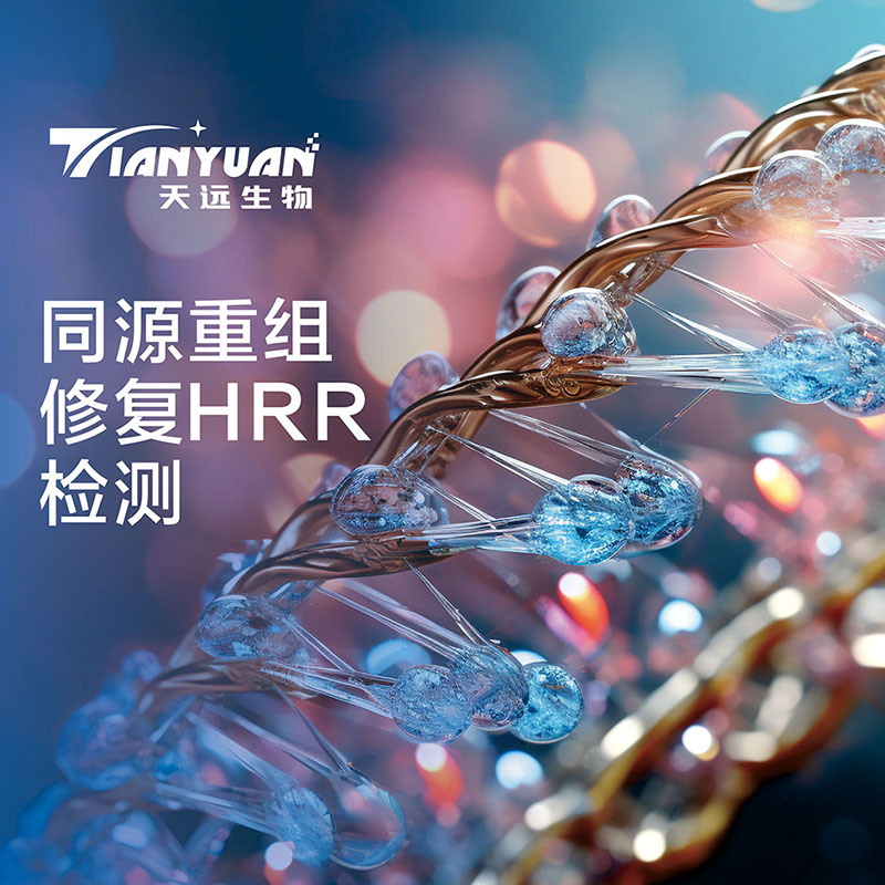 同源重组修复HRR检测