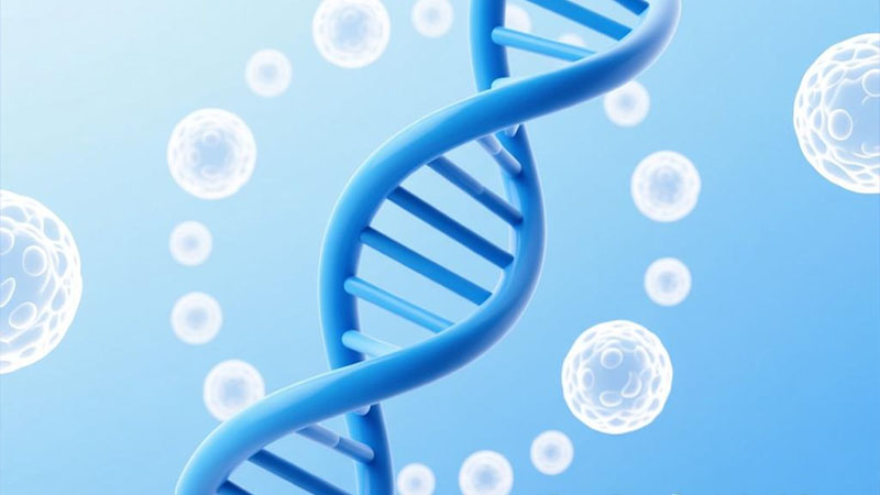 HLA脐带配型库：生命科学的“精准钥匙”与浙江天远生物科技的创新实践