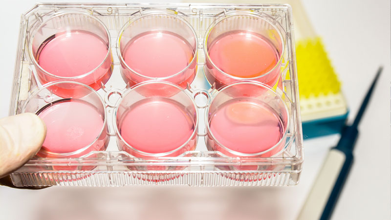 从“心”出发，领跑国际赛道！天远生物iPS细胞技术取得重大突破