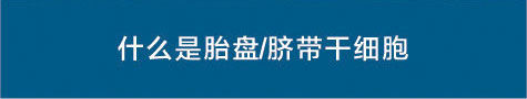 什么是胎盘 / 脐带干细胞